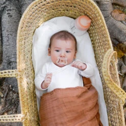 Suavinex Coffret Biberon Zéro Zéro 180 Ml + 1 Sucette Symétrique SX PRO 17 Suavinex Coffret Biberon Zéro Zéro 180 Ml + 1 Sucette Symétrique SX PRO -Suavinex 9