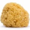 Suavinex Grande éponge En Fibre Naturelle 2 Suavinex Grande éponge En Fibre Naturelle -Suavinex grande eponge en fibre naturelle