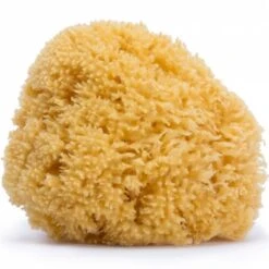 Suavinex Grande éponge En Fibre Naturelle